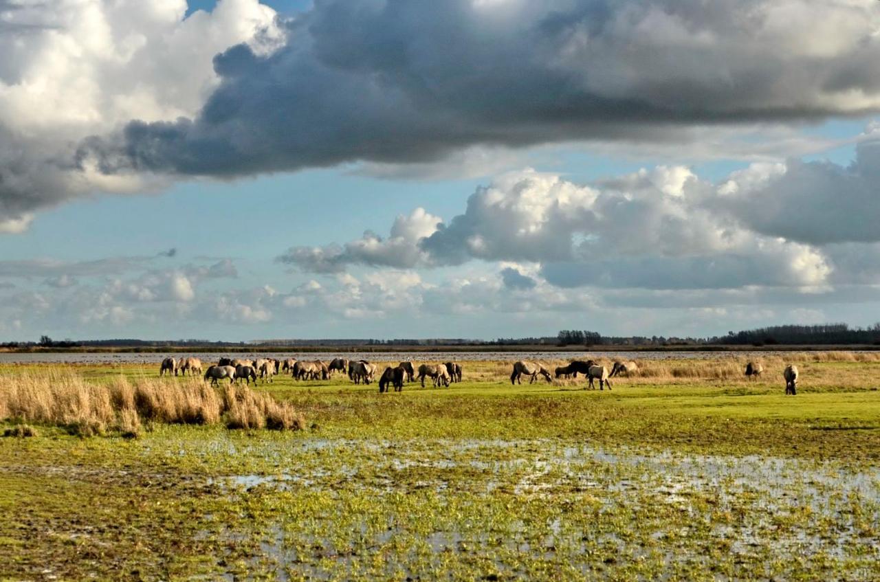 Siblu Camping Lauwersoog Exteriör bild
